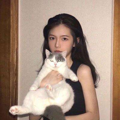战区英雄百度手机版下载